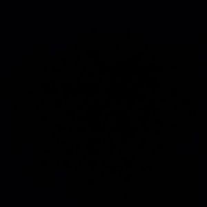 Meet your Posher, Gem